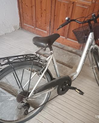 bicicletta donna raggio ruote 26 