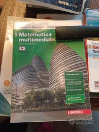 matematica multimediale verde