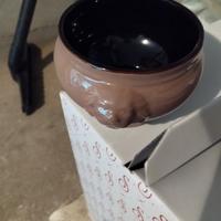 ciotola testa di leone