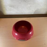 Ciotola piccoli animali