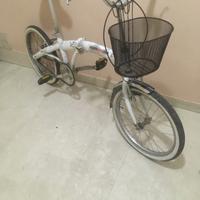 Bici pieghevole funzionate 20 pollici