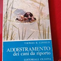 Addestramento dei cani da riporto