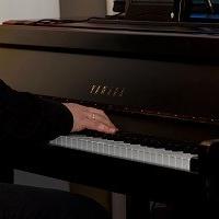 Insegnante pianoforte Monza e Baranzate