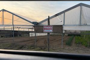 Terreno agricolo con serre