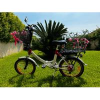 Bicicletta