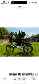 Bicicletta
