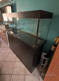 Acquario Juwel Rio 240