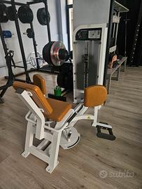 Life Fitness Hip Adductor /Macchinario Adduttori