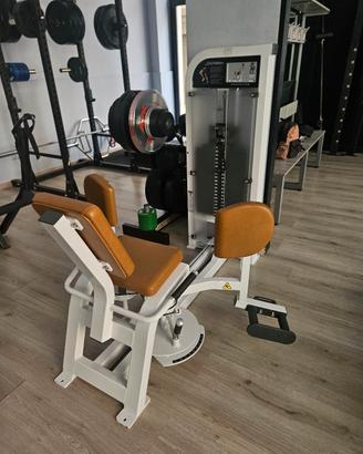 Life Fitness Hip Adductor /Macchinario Adduttori