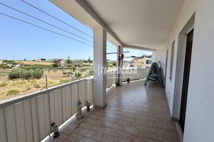 Ampio 4 vani con doppia veranda, box auto. Recenti