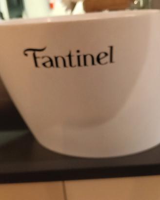 glacette di diversi brand