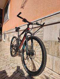 MTB Bottecchia Ortles 297