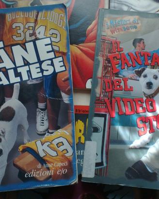 Piccoli Investigatori Brividosi Superbuh libri