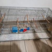 gabbia per uccelli/cocorite