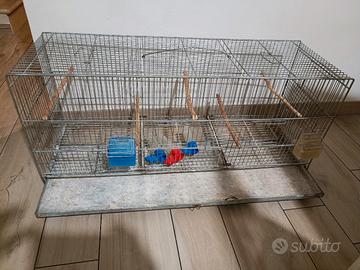 gabbia per uccelli/cocorite