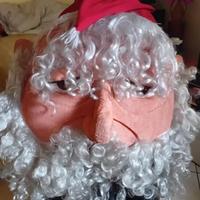 Mascotte babbo natale professionale