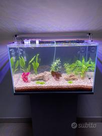 Acquario 60 Litri + Mobile - Impianto Completo