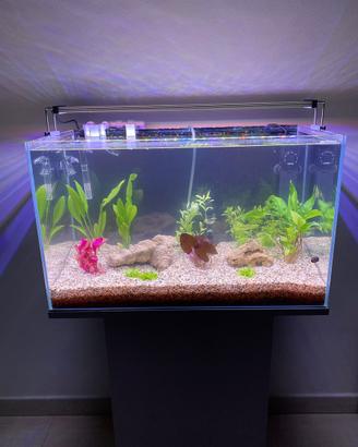 Acquario 60 Litri + Mobile - Impianto Completo