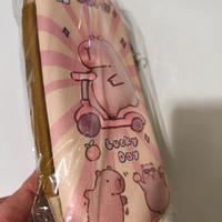 Astuccio Scuola Capybara 3D Resistente Grande Capa