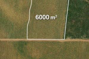 Terreno Agricolo