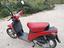 Immagine 3