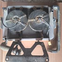 Radiatore, carburatore e selettore quad Linhai 