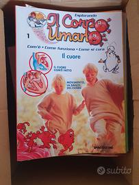 collezione il corpo umano 