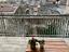 Immagine 11