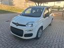 fiat-panda-1-0-firefly-s-s-hybrid-pandina