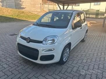 Fiat Panda 1.0 FireFly S&S Hybrid Pandina