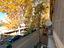 Immagine 25