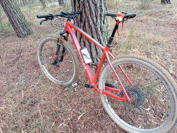 BOTTECCHIA AQUILAROSSA