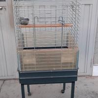 gabbia per uccelli