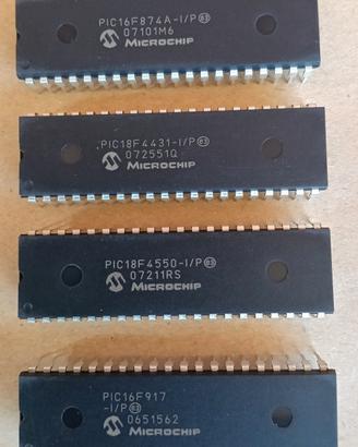 Microcontroller PIC