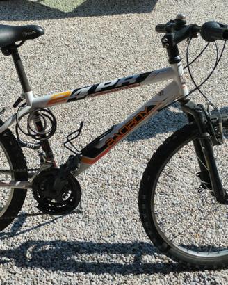 Bicicletta ragazzo
