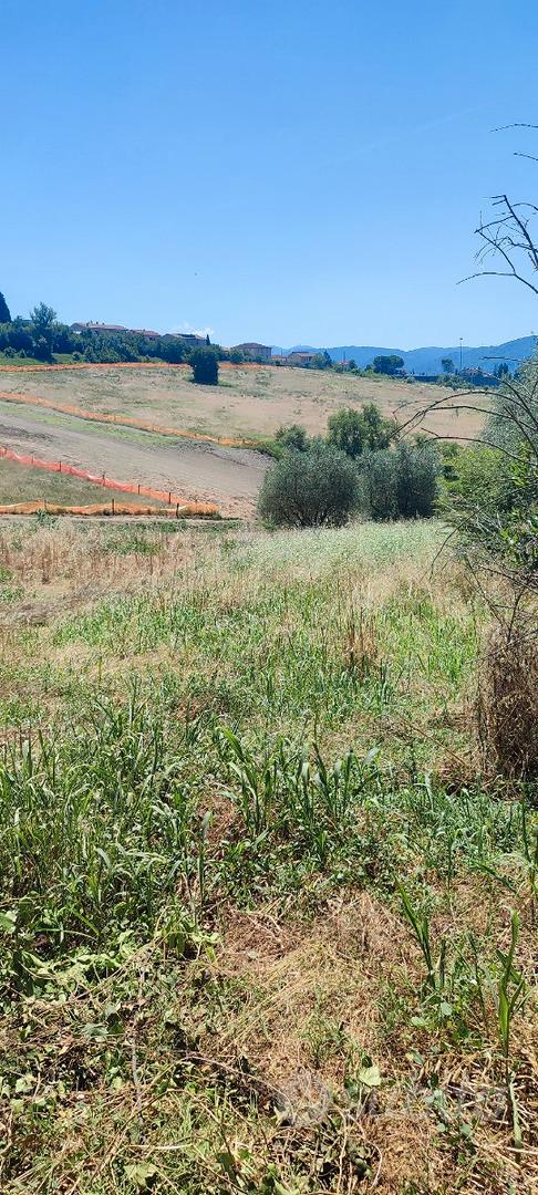 Terreno agricolo - Vista 4