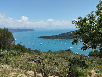 Tra Levante Ligure e Versilia