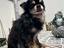 Immagine 1