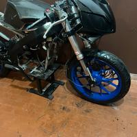 Aprilia rs 50 2009