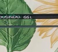 CANNA DA SPINNING HART BOUSHIDO 66L