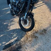 BENELLI LEONCINO 500