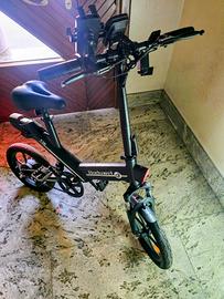 Fat-Bike elettrica 