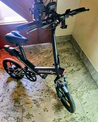 Fat-Bike elettrica 