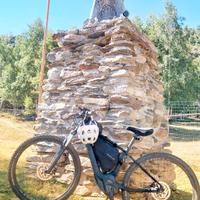 Specialized Turbo Levo Hardtail M5 