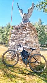 Specialized Turbo Levo Hardtail M5 