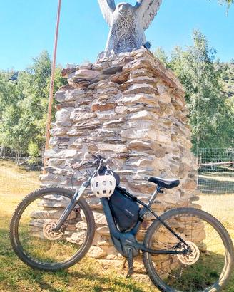 Specialized Turbo Levo Hardtail M5 