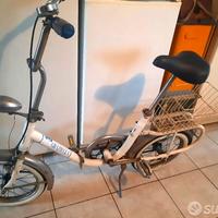 GRAZIELLA CARNIELLI 16" PRIMA SERIE 