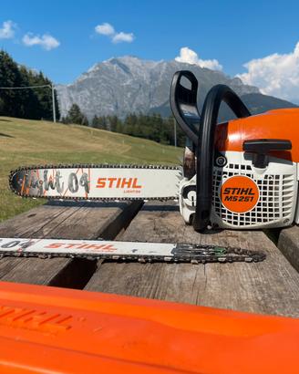 Motosega Stihl MS 251