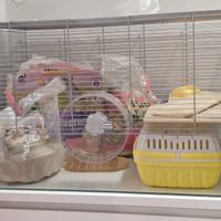 attrezzatura per criceto 