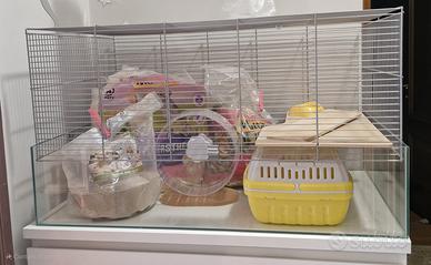 attrezzatura per criceto 